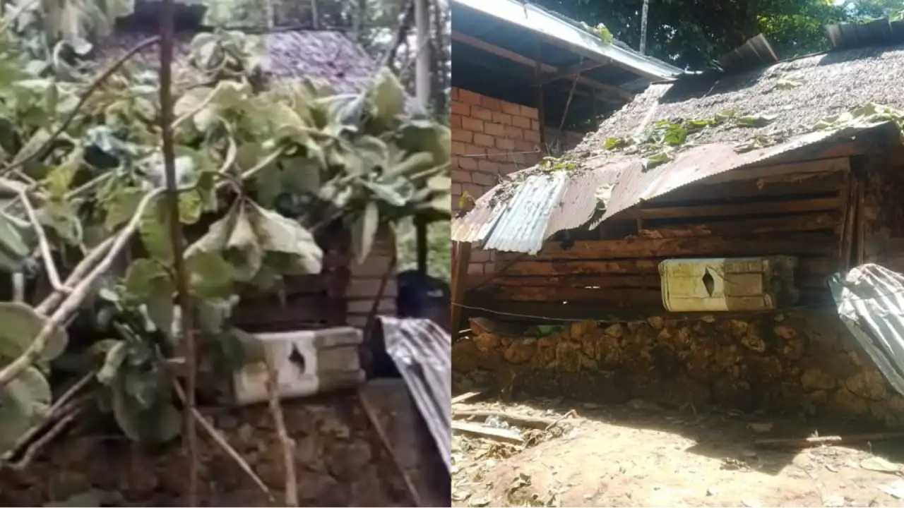 Rumah Warga Puuwatu Kendari Tertimpa Pohon Akibat Hujan Deras dan Angin Kencang
