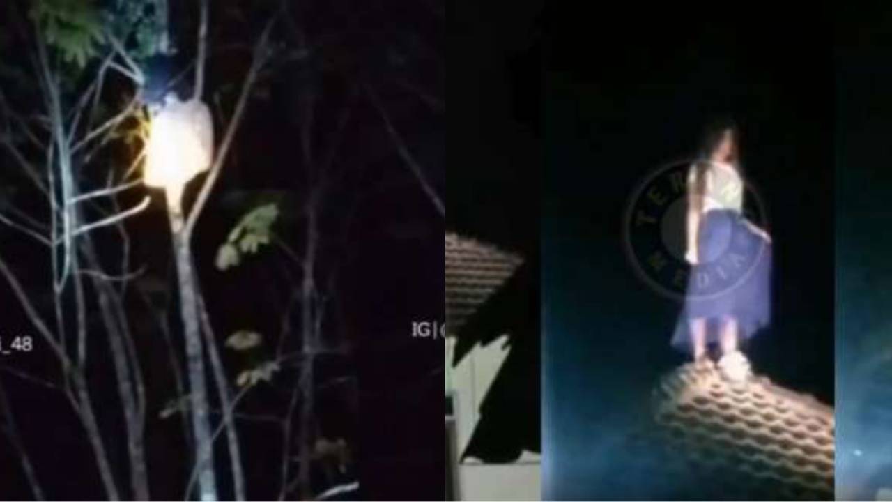 Mistik: Cerita Horor Wanita 3 Hari Kesurupan, Awal Nongkrong Malam di Tepi Got hingga Diantar ke Pohon Beringin