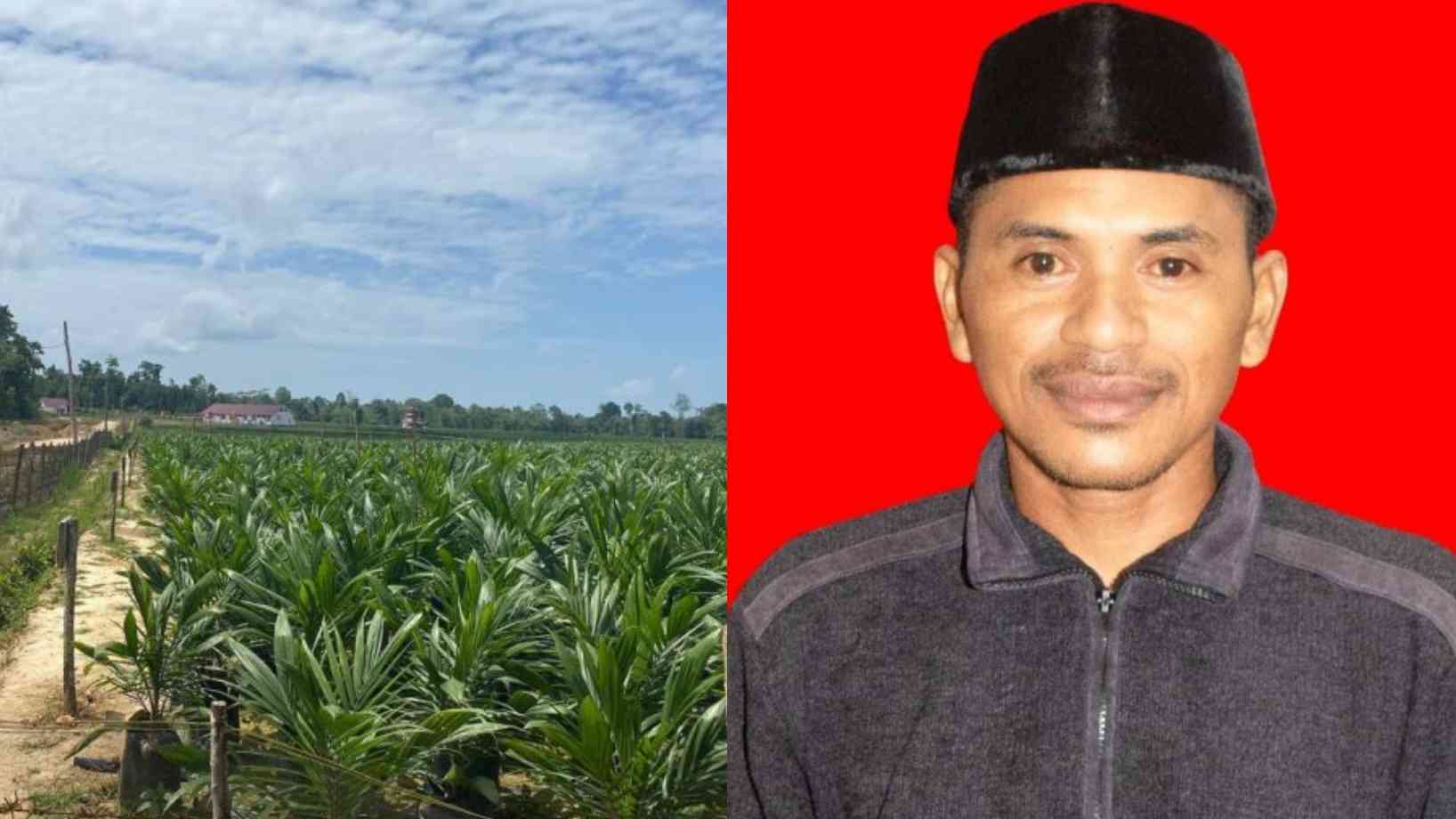Kades Wantiworo Terpilih Diduga Terlibat Mafia Tanah Perkebunan Sawit, Pemkab Muna: Bisa Diberhentikan