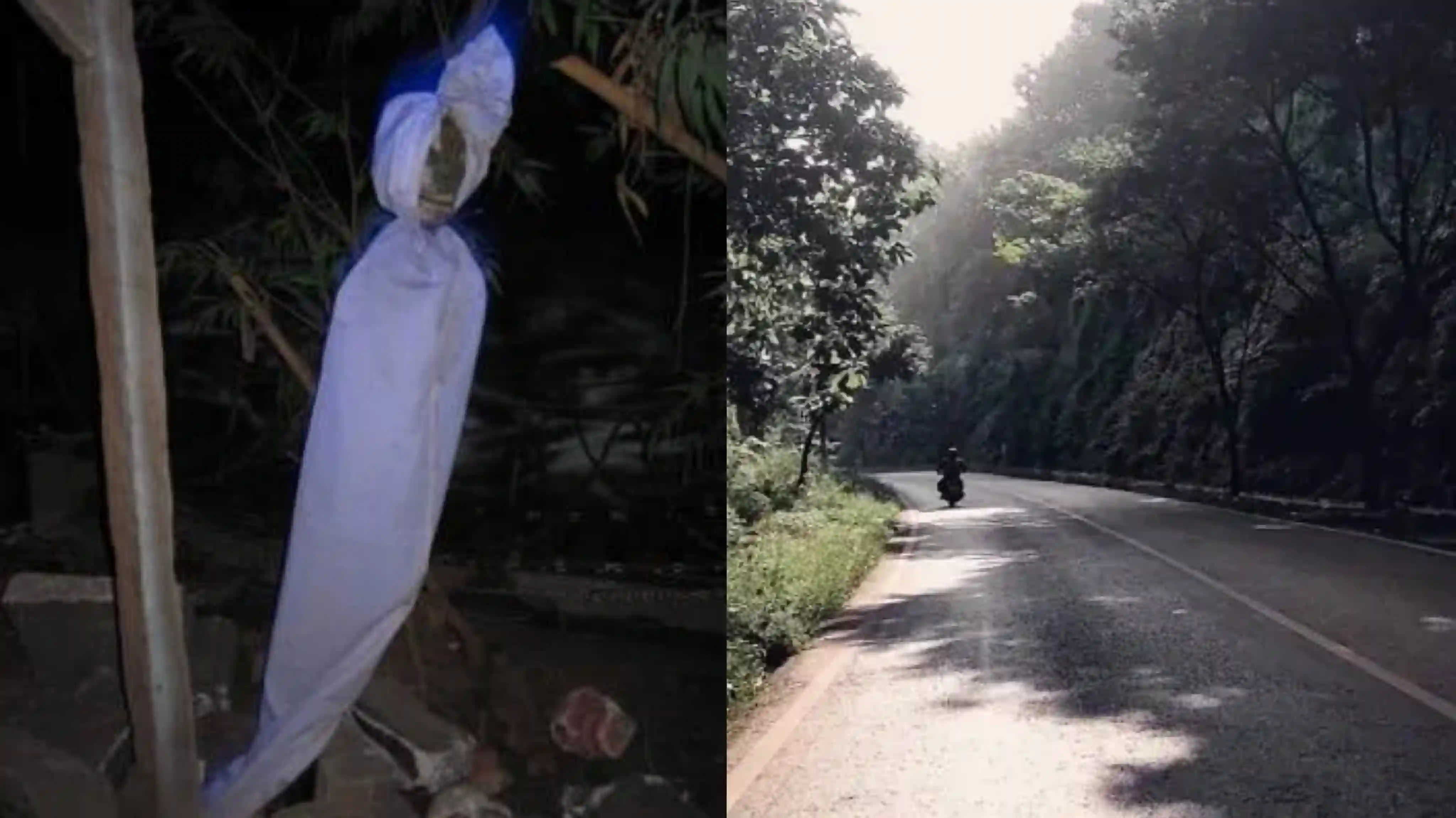 Mistik: Bus Mogok di Alas Roban, Penumpang Masuk Warung Jin dan Dikejar Pocong Terbang