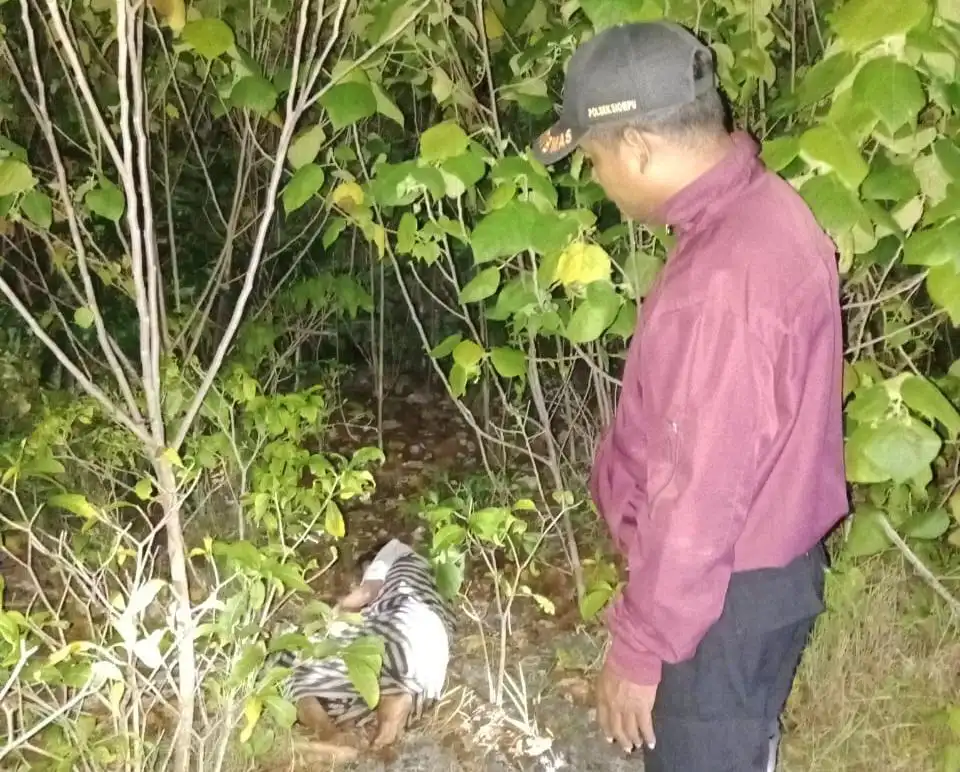 Akibat Kelaparan Seorang Lansia Ditemukan Pingsan di Hutan Buton Selatan