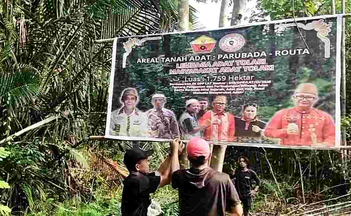 Ketika Routa Konawe Digerus Konsesi Tambang PT SCM Tanpa Permisi ke Masyarakat Adat