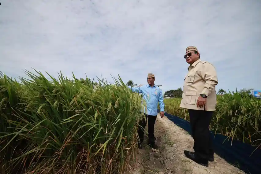 1000 BUMN Dipangkas Prabowo dan Tersisa 200 Perusahaan Pelat Merah, Berikut Alasannya