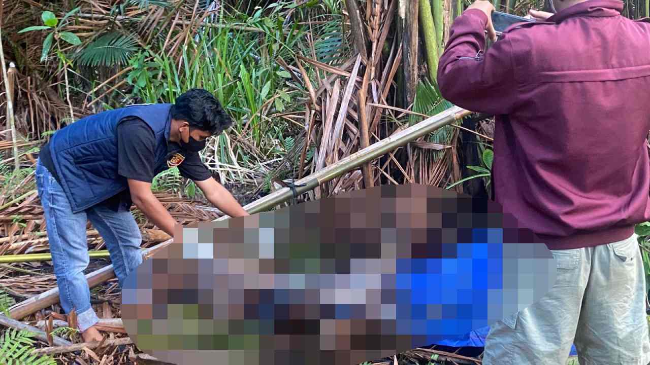 5 Hari Hilang saat Cari Daun Sagu, Lansia Asal Konawe Ditemukan Tewas di Rawa
