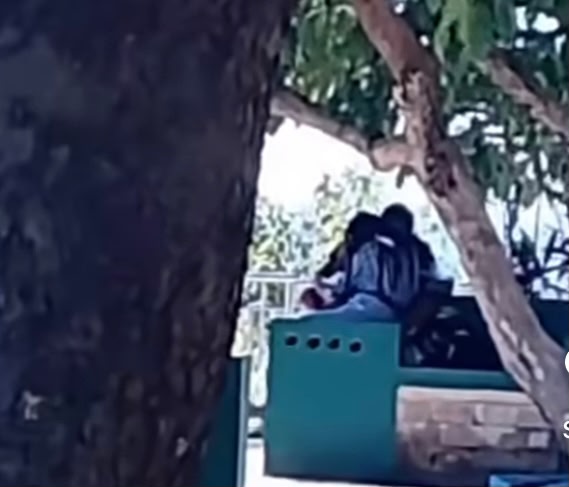 Viral Video Sepasang Remaja Diduga Ciuman di Kawasan Kantor Wali Kota Baubau