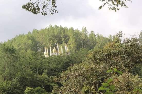 Cerita Horor 3 Sahabat Nyasar di Hutan, Temui Masjid Sunyi hingga Dengar Suara Ajaib saat Salat