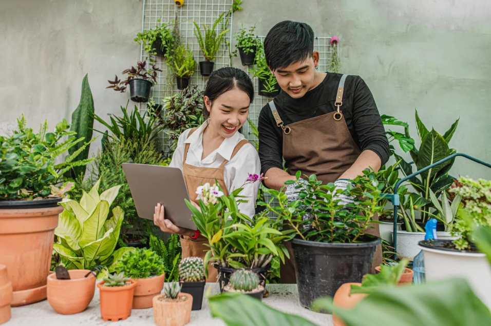Peluang Usaha: Modal Terjangkau dan Potensi Cuan