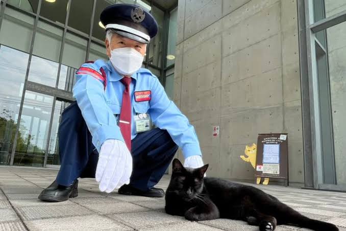 Unik: Kucing Hitam Jadi Petugas Keamanan di Museum Jepang
