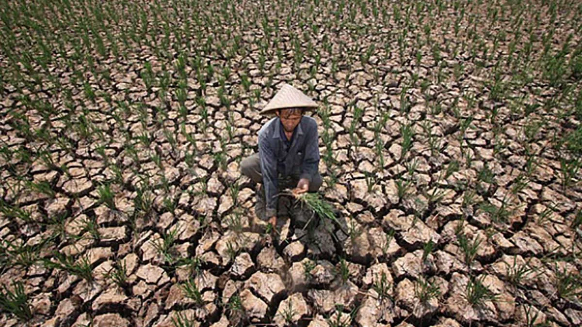 El Nino Intai Kematian 450 Ribu Jiwa di Dunia hingga Februari 2026, Indonesia Sudah Catat 19 Ribu Kehilangan Nyawa