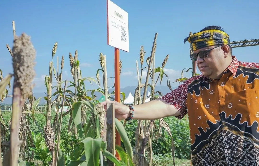 Sosok Birokrat Muda Arsitek Pangan, Begini Jejak Perjalanan Rusdin Jaya dari Kebun Menuju Sekda Sulawesi Tenggara
