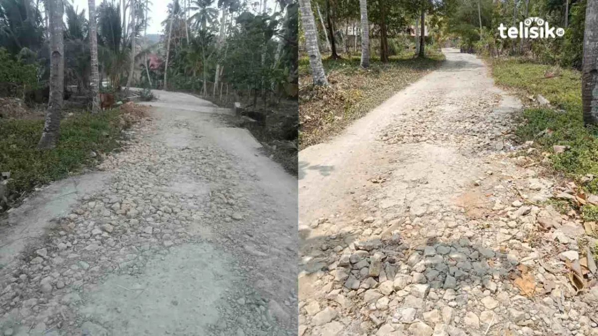 Bertahun-tahun Rusak, Jalan Poros Desa Lasiwa Buton Utara Bahayakan Warga
