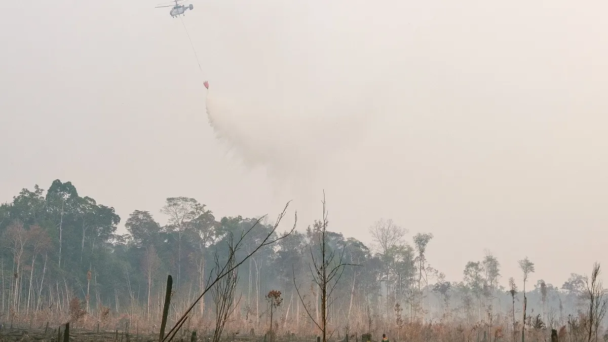 Prabowo Setujui Bantuan Asing Padamkan Karhutla
