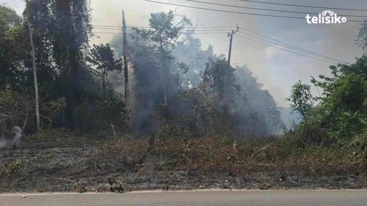 Karhutla di Konda Konawe Selatan Sebabkan Kabel Jaringan Putus hingga Sinyal Hilang Total