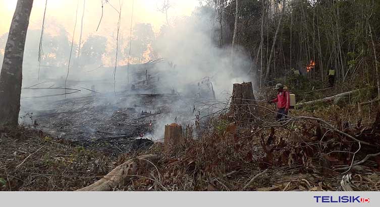 Kebakaran dan kabut asap di Koltim. Foto: Mutarfin/Telisik