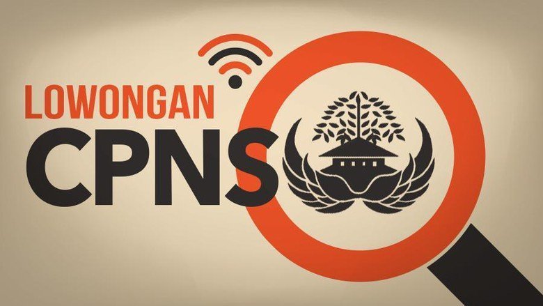 Pengumuman berkas CPNS akan dikeluarkan pertengahan Desember ini. Foto: ilustrasi