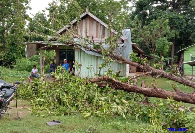 Salah satu rumah warga Desa Ulu Lamokuni yang diterjang puting beliung. Foto: Muhammad Israjab/Telisik