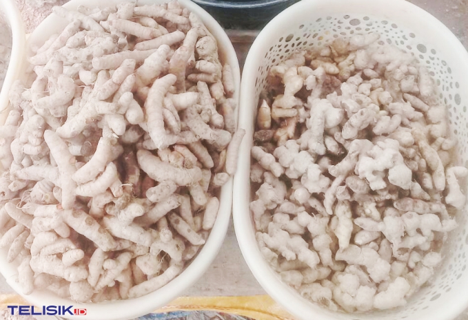 Jahe di Pasar Andonuhu makin sulit ditemui, harganya pun melonjak tajam. Foto: Mutarfin/Telisik