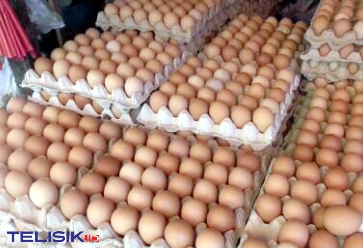 Harga telur ayam di Pasar Anduonuhu terus merangkak naik, akibat tingginya permintaan. Foto: Mutarfin/Telisik