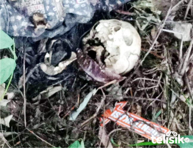 Tengkorak manusia yang ditemukan warga Kecamatan Wolo di kebun. Foto: Yus/Telisik