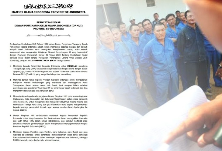 TKA asal China di Indonesia. Foto: harianterbit.com