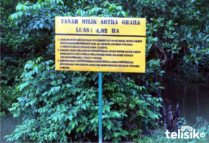Plank Arta Graha di hutan mangrove Teluk Kendari. Foto: Dul/Telisik