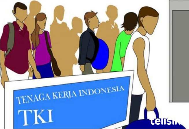 Ilustrasi TKI. Foto: Ones Lawolo/Telisik