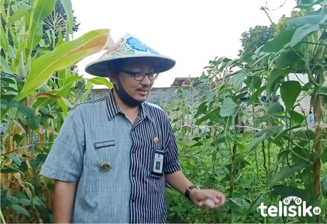 Wakil Wali Kota Yogyakarta, Heroe Poerwadi, berharap ke depan lorong sayur bisa menjadi tempat rekreasi warga. Foto: Affan/Telisik