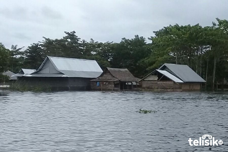 Tampak rumah warga yang terendam banjir. Foto: Muh. Surya Putra/Telisik