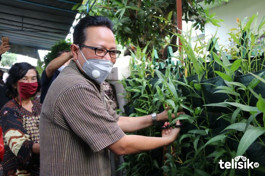 Keterbatasan lahan tidak menghalangi warga masyarakat Kota Yogyakarta untuk bercocok tanam. Foto: Affan Safani Adham/Telisik