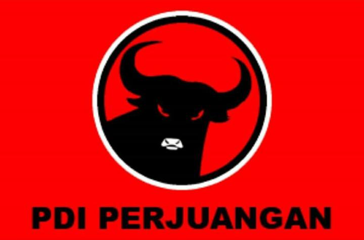 PDIP mulai melirik incumbent di Pilkada Konawe Kepulauan bila Oheo Sinapoy tidak mendapatkan partai koalisi. Foto: Repro Google.com