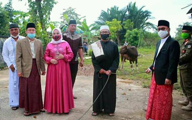 Bupati Konsel, Surunuddin Dangga, saat penyerahan simbolis hewan kurban. Foto: Ist.