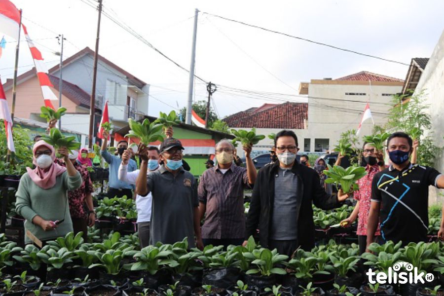 Tempat pembuangan sampah ilegal yang kini menjadi kebun sayur. Foto: Affan Safani Adham/Telisik