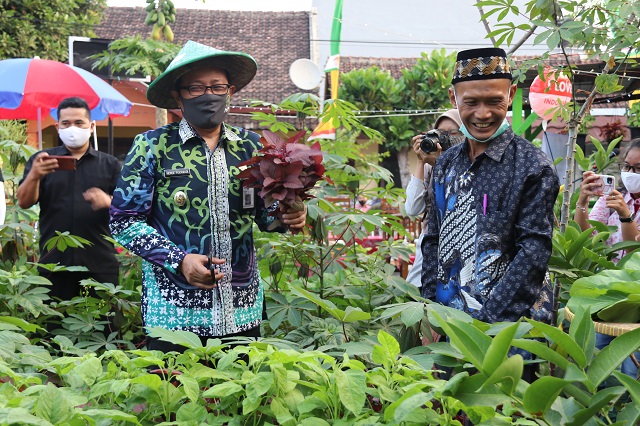 Selama pandemi COVID-19 peminat tanaman di Yogyakarta makin meningkat. Foto: Ist.