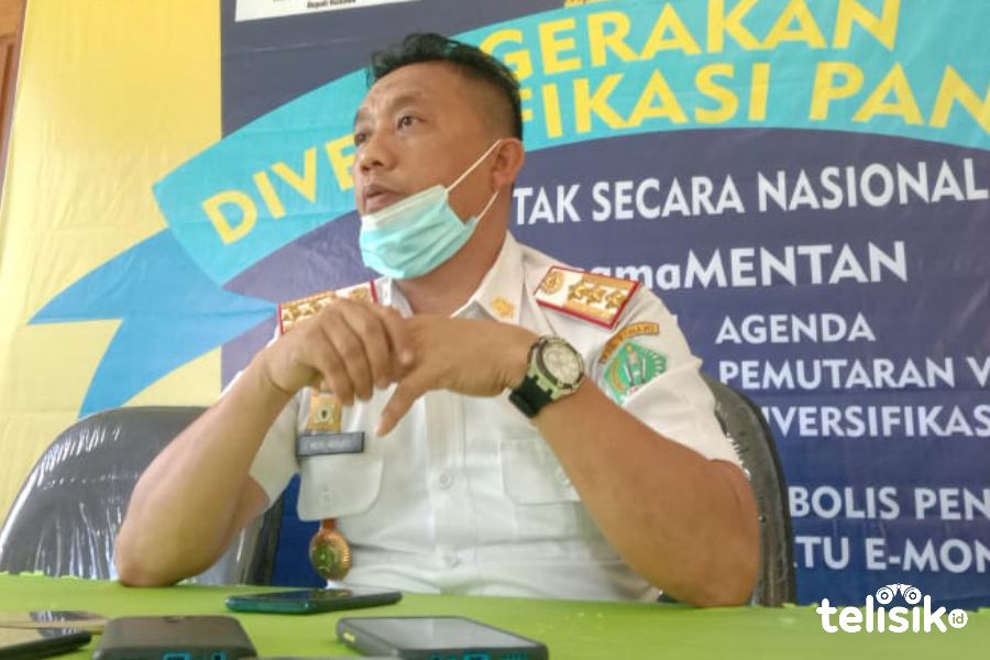 Kadis Ketahanan Pangan Konawe, Muhammad Akbar. Foto: Muh. Surya Putra/Telisik
