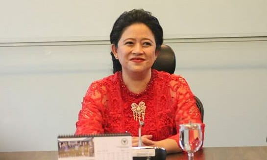 Ketua DPR RI, Puan Maharani. Foto: Repro google