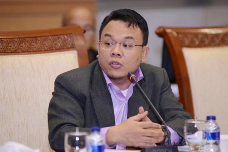 Plh Ketua Fraksi PAN, Saleh Partaonan Daulay. Foto: Ist.