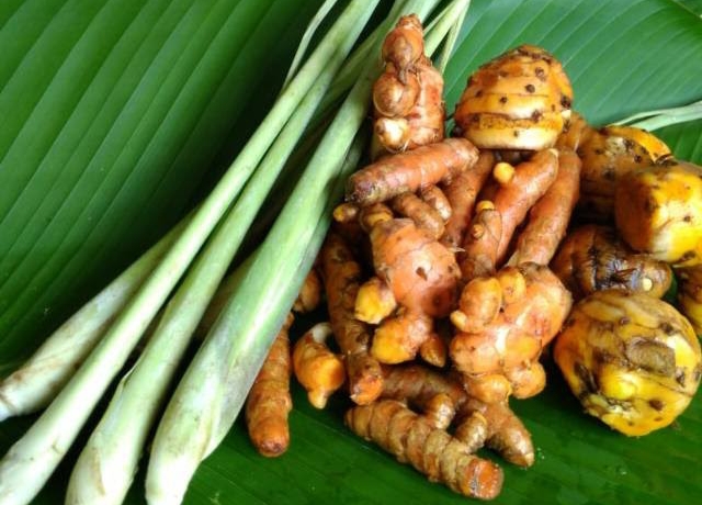Bahan rimpang-rimpangan yang baik untuk kesehatan. Foto: Repro google.com