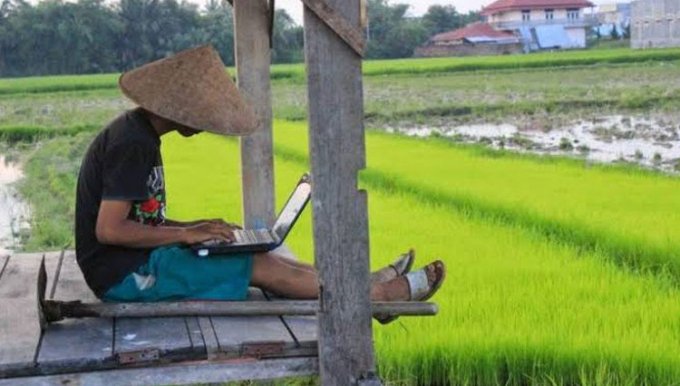 Ilustrasi seorang petani memanfaatkan internet desa. Foto: Ist.