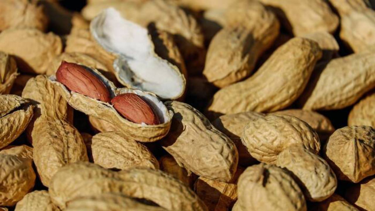 Kacang tanah memiliki kandungan protein dan lemak sehat yang cukup tinggi, juga mineral terutama kalsium dan fosfor. Foto: Repro pixabay