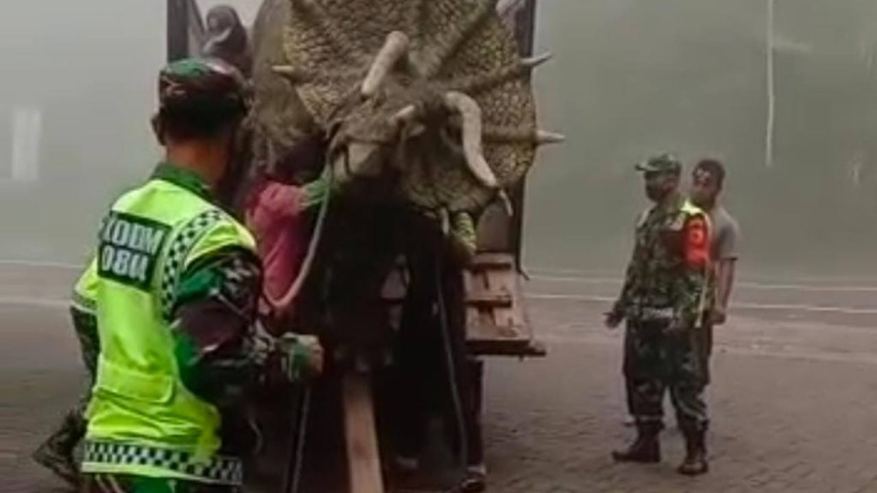 Rekaman video amatir, anggota TNI saat menurunkan Dinosaurus Triceratops. Foto: Ist.