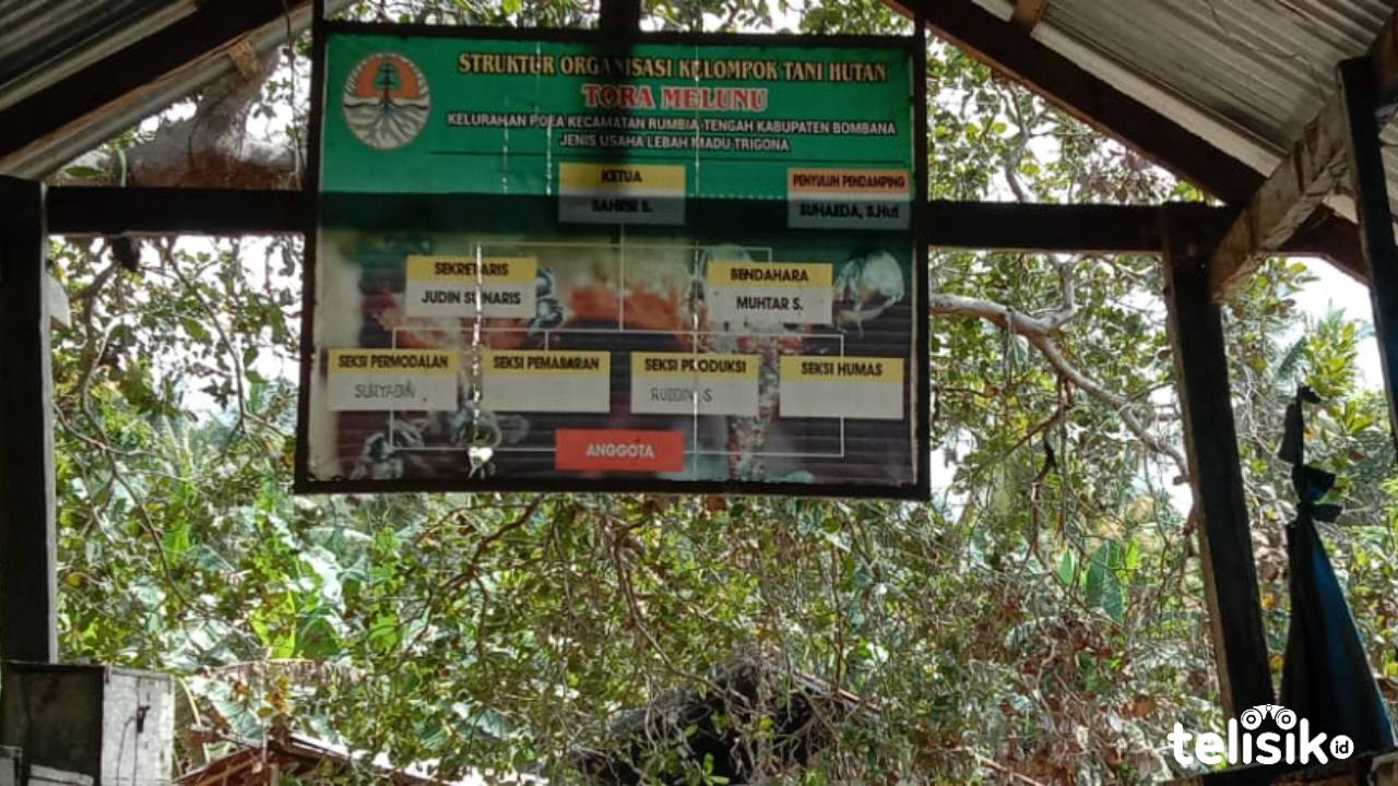 Rumah sarang madu trigona inovasi Kelompok Tani Hutan, Bombana. Foto: Hir/Telisik