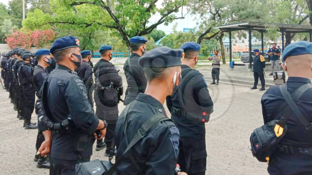 Personil Brimob yang melakukan pengamanan di Pilkada Muna. Foto: Sunaryo/Telisik