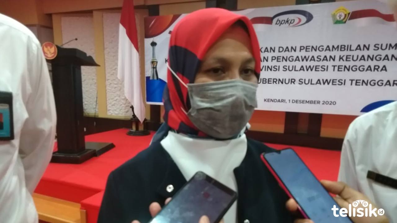 Kepala Perwakilan BPKP Sultra, Nani Ulina Kartika Nasution. Foto: Fitrah Nugraha/Telisik