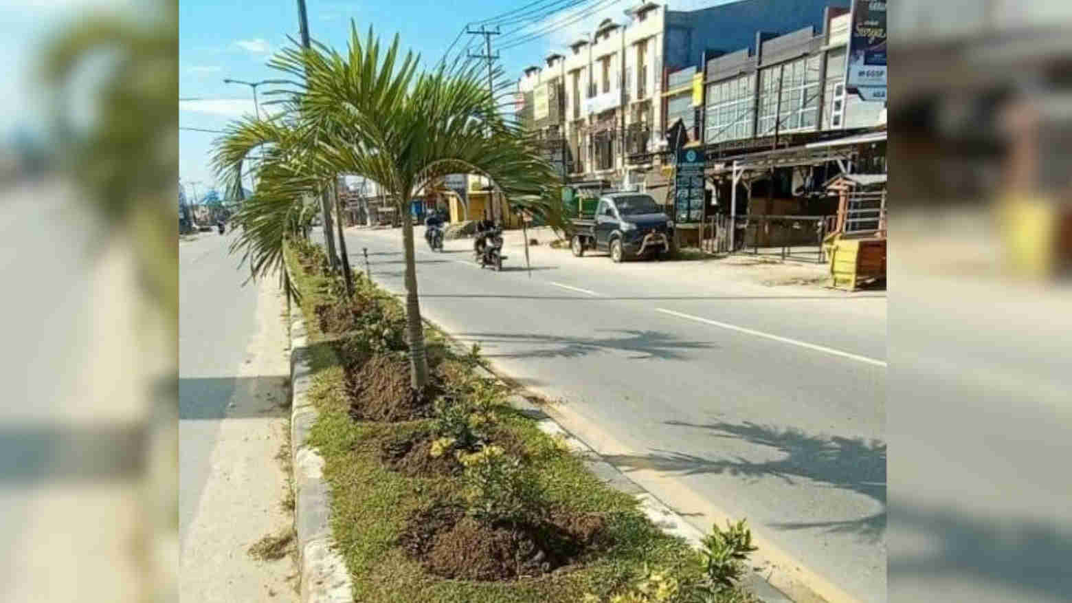Salah satu median jalan di Kota Kendari. Foto: Ist.