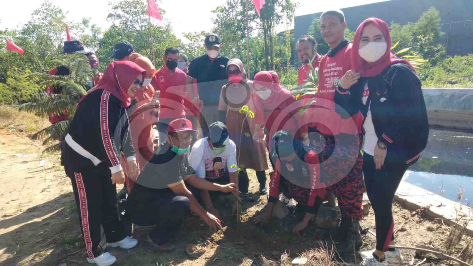 DPD PDIP Sultra saat melakukan penanaman pohon dibantaran sungai. Foto: Musdar/Telisik