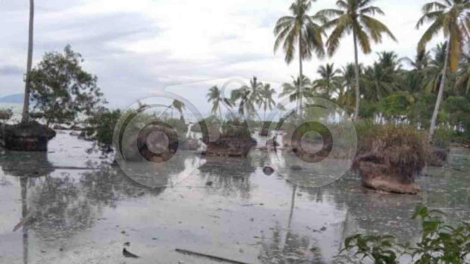 Penambangan pasir di Desa Balobone. Foto: Mutarfin/Telisik