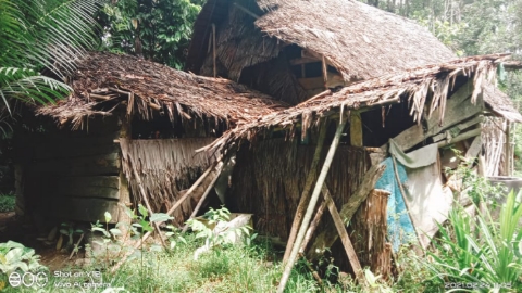 Kondisi rumah Kakek Tanggo tampak samping. Foto: Ist.