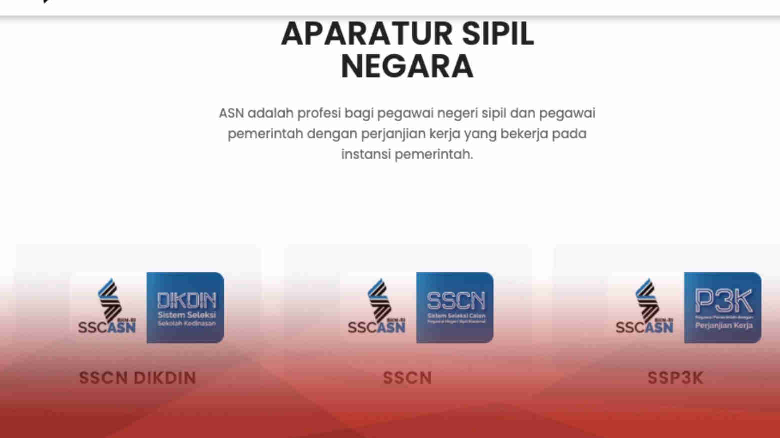 Tampilan portal SSCASN. Foto: Ist.