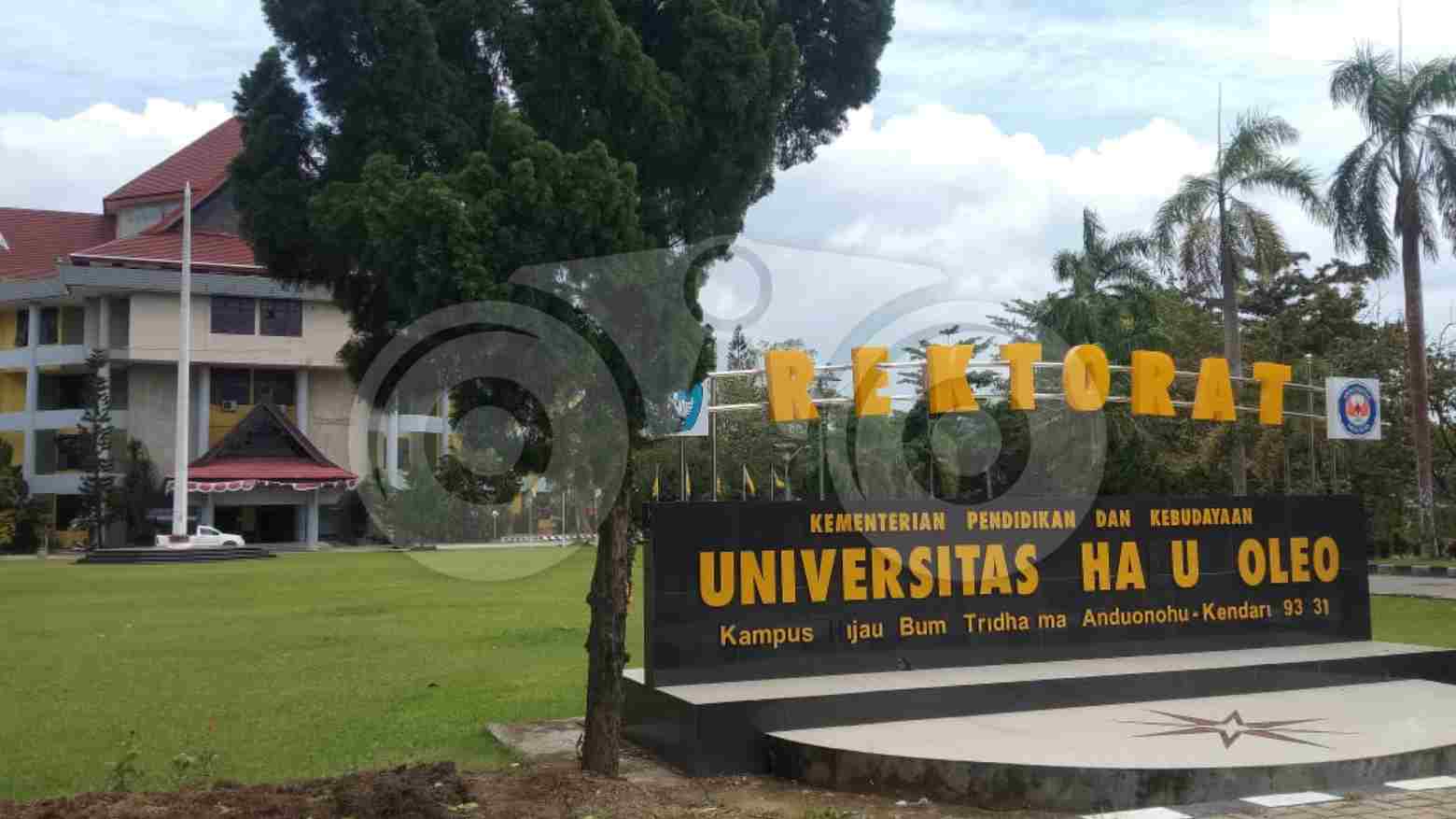 Gedung Rektorat Universitas Halu Oleo (UHO). Foto: Musdar/Telisik