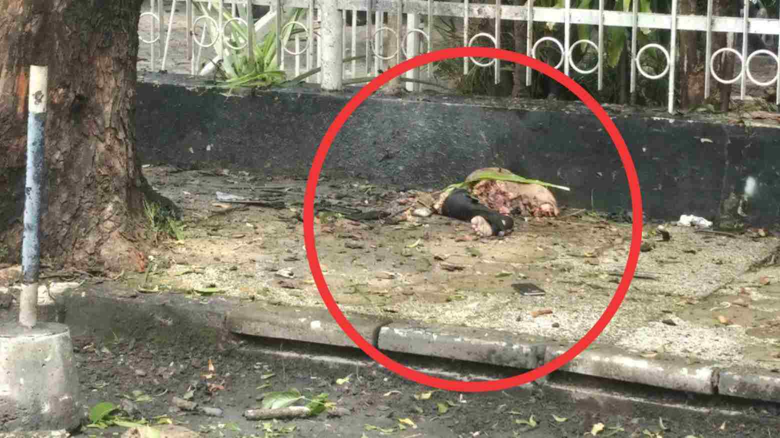 Potongan tubuh manusia di sekitar lokasi terjadinya bom bunuh diri. Foto: Ist.
